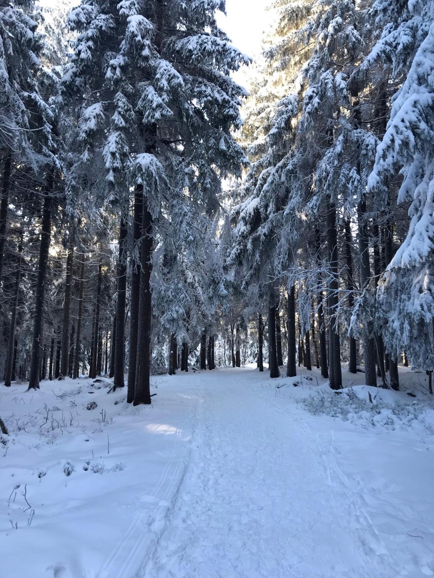 Utulny Apartman U Mumlavskych Vodopadu Harrachov Dış mekan fotoğraf