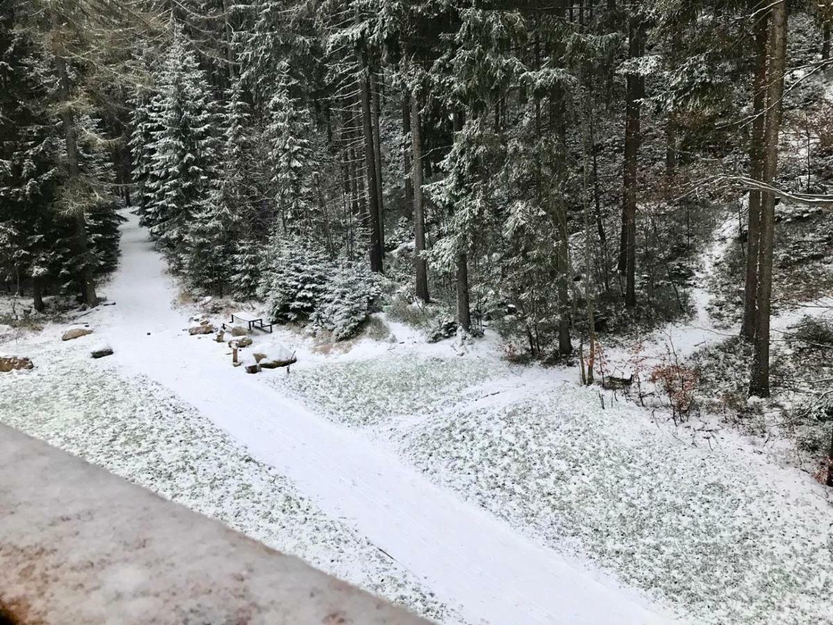 Utulny Apartman U Mumlavskych Vodopadu Harrachov Dış mekan fotoğraf